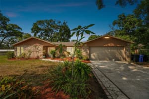 2222 ARCH MCDONALD DRIVE, DOVER, FL 33527 - MLS#MFRTB8401670