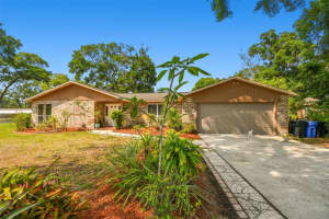 2222 ARCH MCDONALD DRIVE, DOVER, FL 33527 - MLS#MFRTB8401670