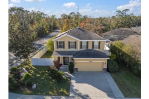 8607 TIDAL BREEZE DRIVE, RIVERVIEW, FL 33569 - MLS#MFRTB8401681