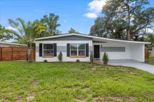 4020 N Falkenburg Rd, TAMPA