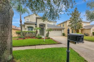18439 RED WILLOW WAY, LAND O LAKES, FL 34638 - MLS#MFRTB8401716