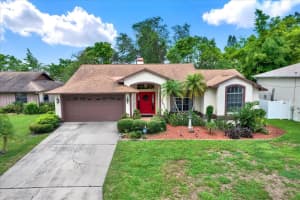 10732 Drummond Rd, TAMPA