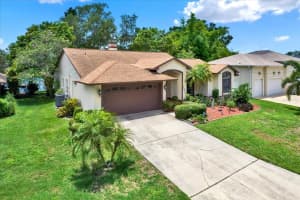 10732 DRUMMOND ROAD, TAMPA, FL 33615 - MLS#MFRTB8401771