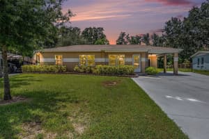 4816 N Fremont Ave, TAMPA
