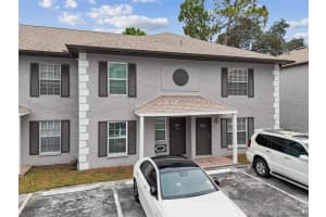 5226 SUNRIDGE PALMS DRIVE, TAMPA, FL 33617 Sold 08/15/25
