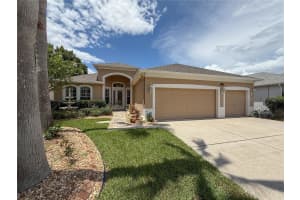 11610 GROVE ARCADE DRIVE, RIVERVIEW, FL 33569 - MLS#MFRTB8401845