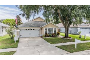 24449 Mistwood Ct, LUTZ