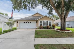 24449 MISTWOOD COURT, LUTZ, FL 33559 - MLS#MFRTB8401848