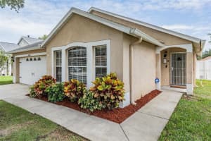 24449 MISTWOOD COURT, LUTZ, FL 33559 - MLS#MFRTB8401848