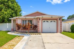 8502 N Hyaleah Rd, TAMPA