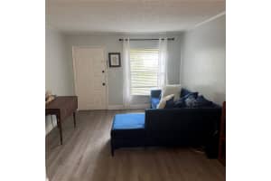 14219 SHADOW MOSS LANE, TAMPA, FL 33613 - MLS#MFRTB8401862