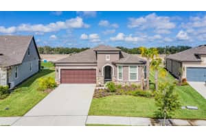 8202 OLIVE BROOK DRIVE, WESLEY CHAPEL, FL 33545 - MLS#MFRTB8401868