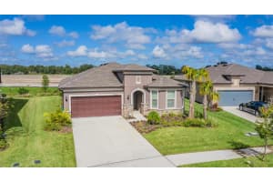 8202 OLIVE BROOK DRIVE, WESLEY CHAPEL, FL 33545 - MLS#MFRTB8401868