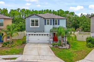 13295 Marble Sands Ct, HUDSON