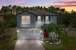 13295 MARBLE SANDS COURT, HUDSON, FL 34669 - MLS#MFRTB8401871