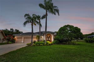 5633 WELLINGTON COURT, PALM HARBOR, FL 34685 - MLS#MFRTB8401918