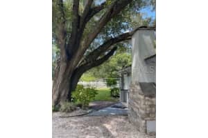 14935 OGDEN LOOP, ODESSA, FL 33556 - MLS#MFRTB8401930