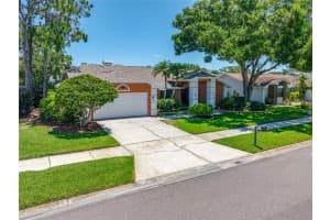 1111 CHATHAM COURT, SAFETY HARBOR, FL 34695 - MLS#MFRTB8401941