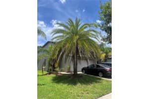 20042 Date Palm Way, TAMPA