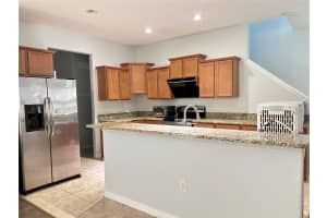 20042 DATE PALM WAY, TAMPA, FL 33647 - MLS#MFRTB8401955