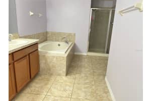 20042 DATE PALM WAY, TAMPA, FL 33647 - MLS#MFRTB8401955