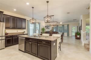 19309 PRAIRIE TREE PLACE, TAMPA, FL 33647 - MLS#MFRTB8401962
