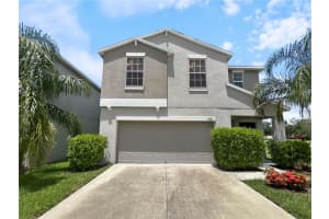 17201 Beach Buttercup Pl, WIMAUMA