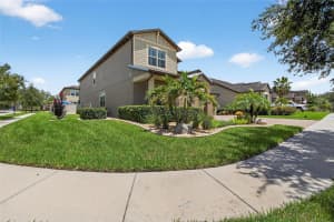 10313 SCARLET CHASE DRIVE, RIVERVIEW, FL 33569 - MLS#MFRTB8401965