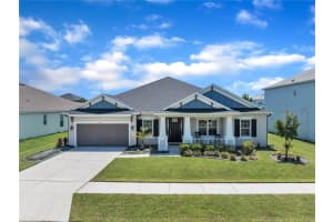 6989 Bradbury Cir, WESLEY CHAPEL