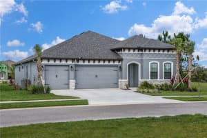 11303 STRIPED BASS COURT, NEW PORT RICHEY, FL 34654 - MLS#MFRTB8401978
