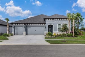 11303 STRIPED BASS COURT, NEW PORT RICHEY, FL 34654 - MLS#MFRTB8401978