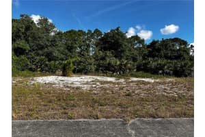 218 LABELLE, LABELLE, FL 33935 - MLS#MFRTB8402004