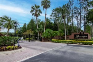 16115 COLCHESTER PALMS DRIVE, TAMPA, FL 33647 - MLS#MFRTB8402013