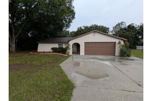11308 ECHO VIEW DRIVE, ODESSA, FL 33556 - MLS#MFRTB8402030