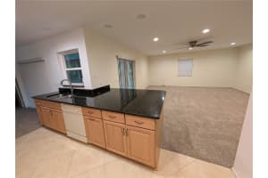 11308 ECHO VIEW DRIVE, ODESSA, FL 33556 - MLS#MFRTB8402030