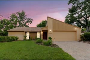 8222 La Serena Dr, TAMPA