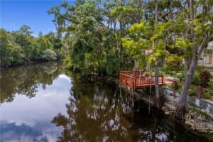 11923 RIVERHILLS DRIVE, TEMPLE TERRACE, FL 33617 - MLS#MFRTB8402045