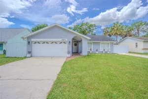 13916 Briardale Ln, TAMPA