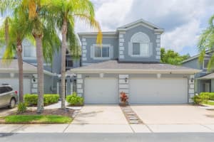 18136 NASSAU POINT DRIVE, TAMPA, FL 33647 - MLS#MFRTB8402068