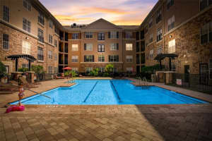 4221 W Spruce St #2328, TAMPA