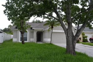 11227 Thicket Ct, TAMPA