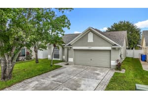 11227 THICKET COURT, TAMPA, FL 33624 - MLS#MFRTB8402078