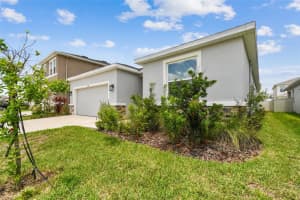 2518 CHAPEL OAK BEND, WESLEY CHAPEL, FL 33543 - MLS#MFRTB8402092