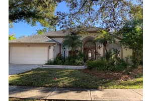 10609 Chambers Dr, TAMPA