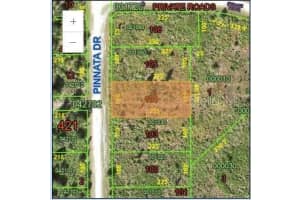 0 PINNATA, INDIAN LAKE ESTATES, FL 33855 - MLS#MFRTB8402138