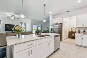10380 LAVENDER ASTER TRAIL, SAN ANTONIO, FL 33576 - MLS#MFRTB8402201