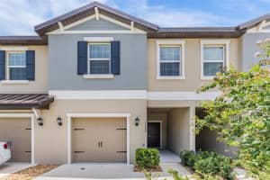 17482 Nectar Flume Dr, LAND O LAKES