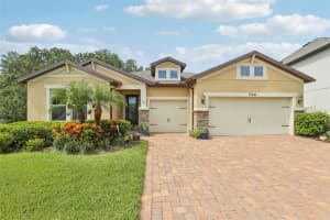 19246 Briarbrook Dr, TAMPA