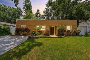 5704 HALF MOON LAKE ROAD, TAMPA, FL 33625 - MLS#MFRTB8402209