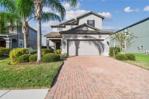 19656 Long Lake Ranch Blvd, LUTZ